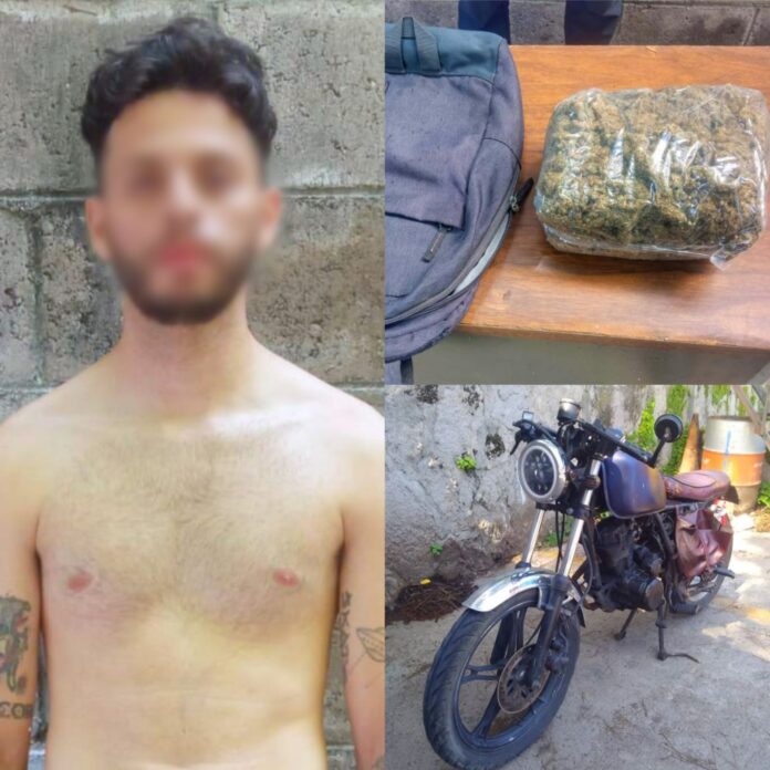 Imagen de WhatsApp 2024-07-23 a las 10.10.00_7e352359