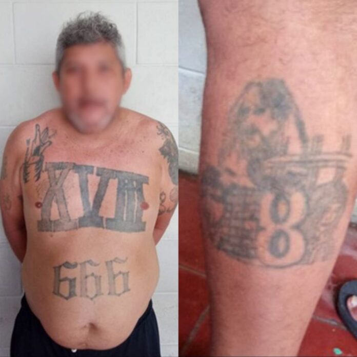 Imagen de WhatsApp 2024-08-07 a las 17.56.10_234359b8