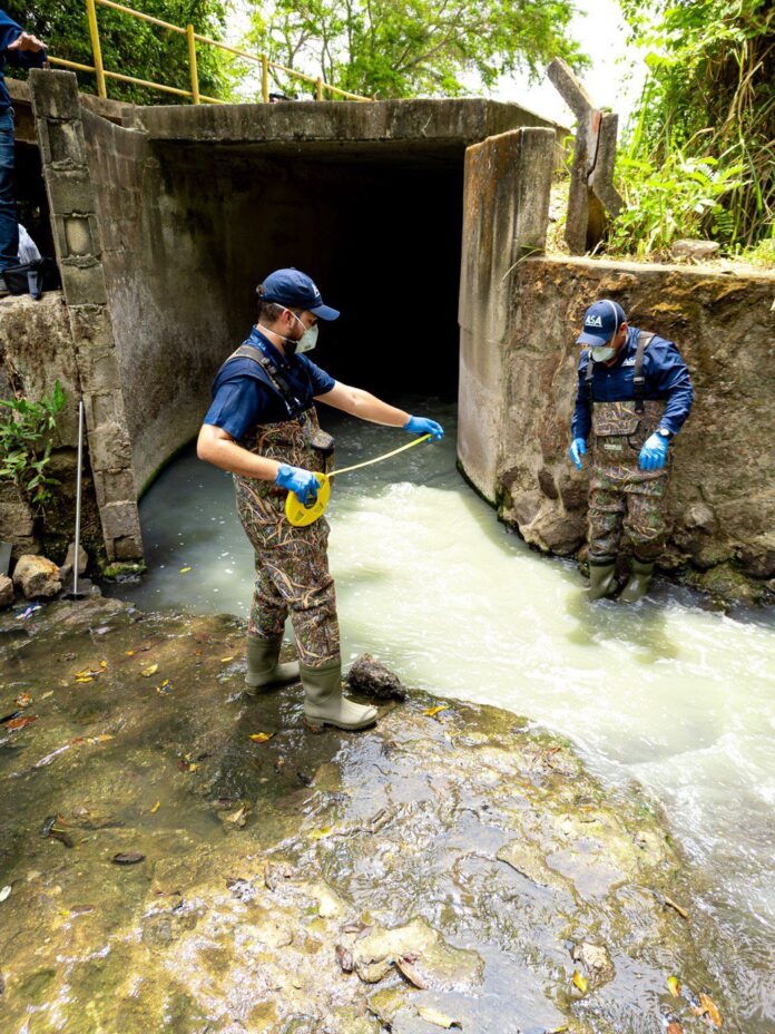 Imagen de WhatsApp 2024-08-15 a las 13.16.58_c615539f