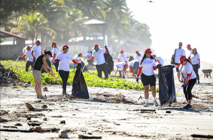 Voluntariado