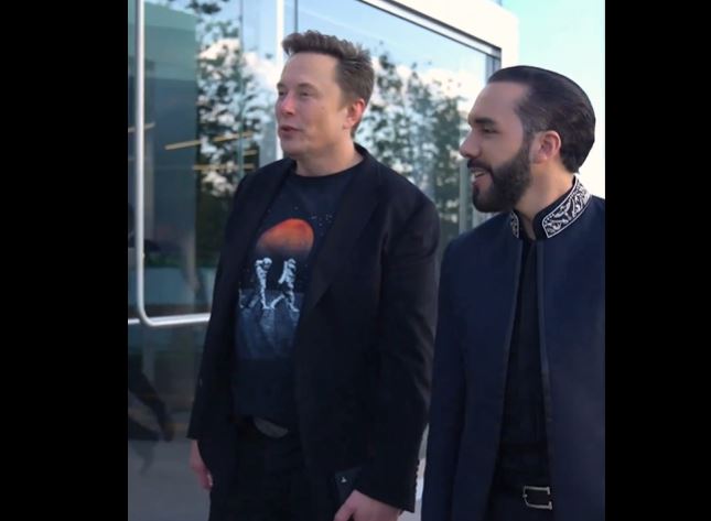 bukele con musk