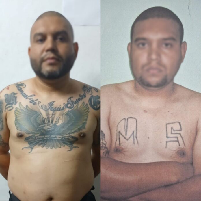 Point Blur_Feb132025_061532