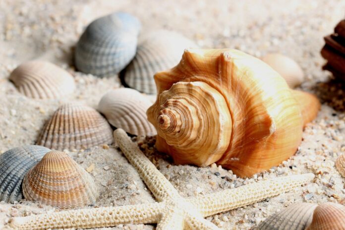 sand-3478326_1280