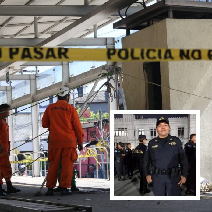 InCollage_20251216_091531029