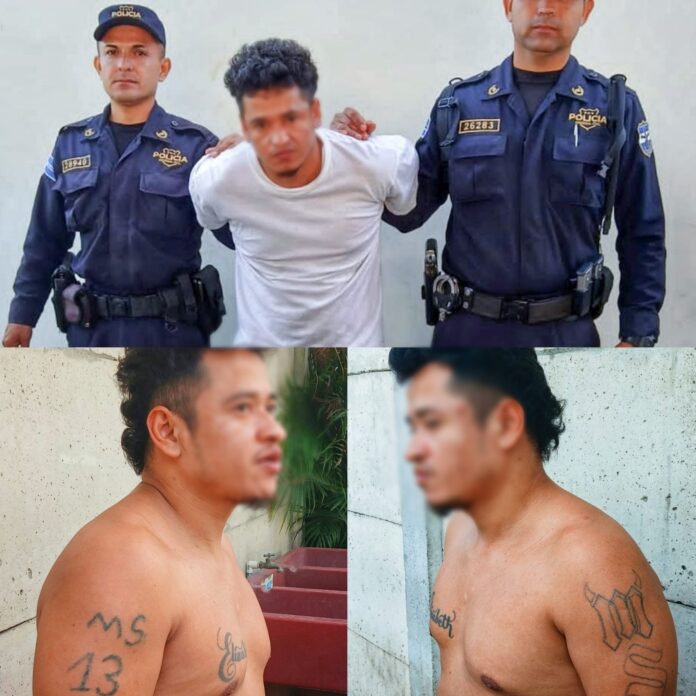 Point Blur_Dec062025_081341