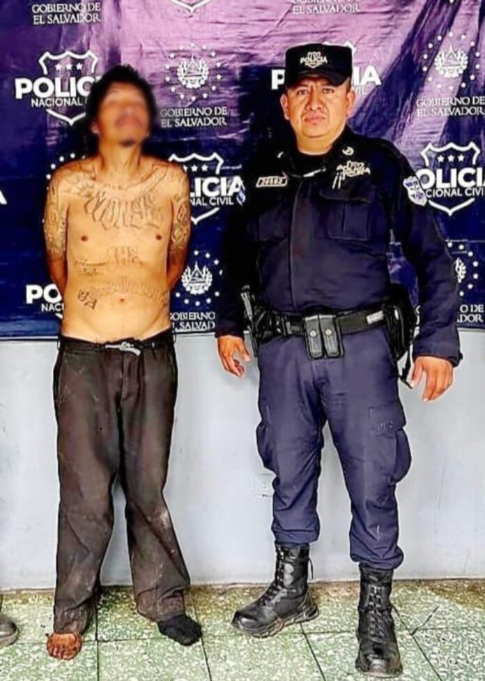 Point Blur_Dec072025_083737