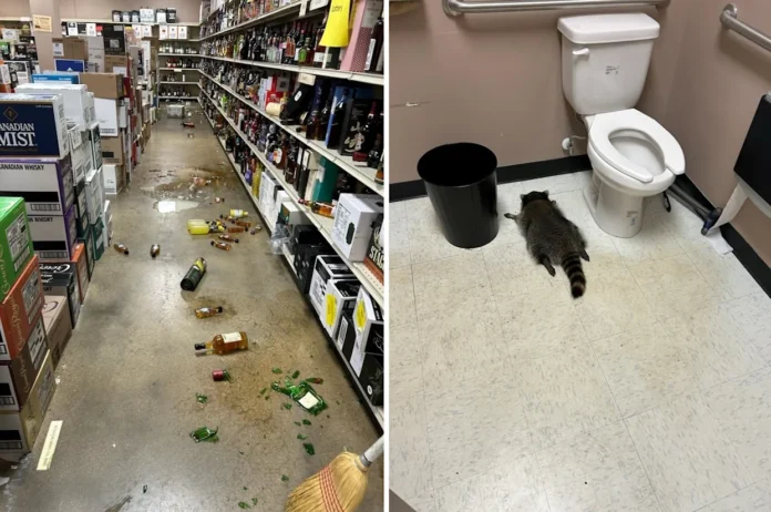 a1a5afd75c332e90a73a79d12de7ab6a