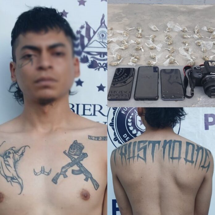 Point Blur_Feb132026_090508