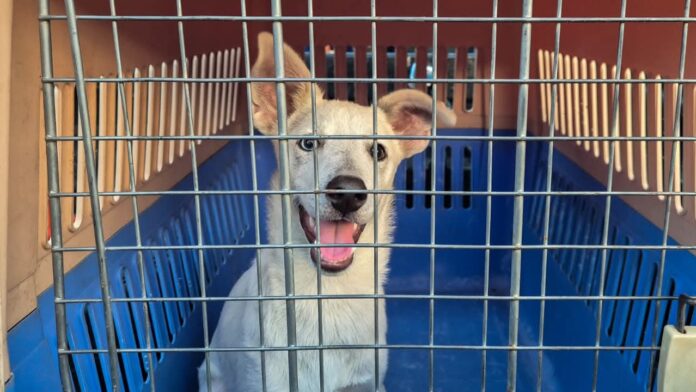 FB_IMG_1774492907639