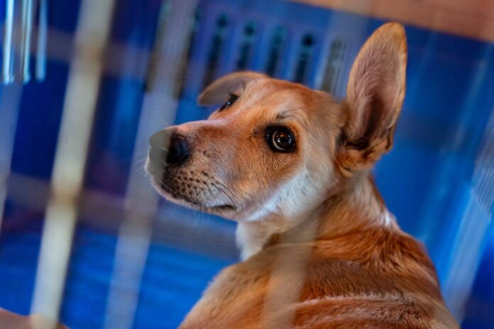 FB_IMG_1774647987421