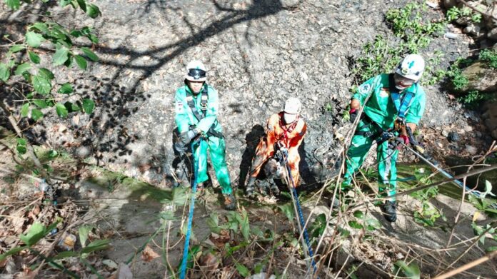 FB_IMG_1774980113705