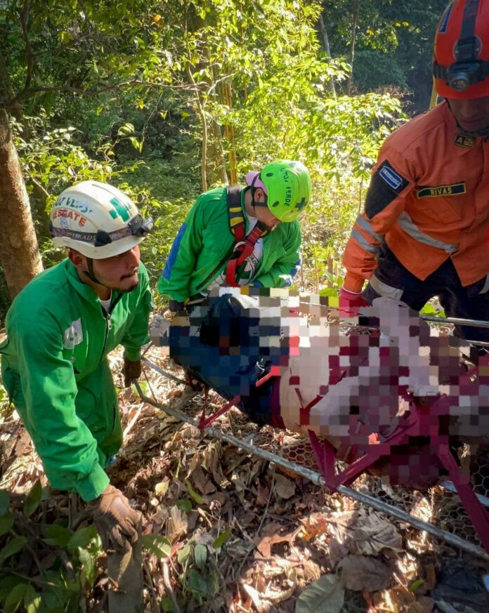 FB_IMG_1775693458859