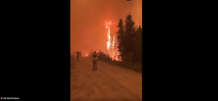 incendios