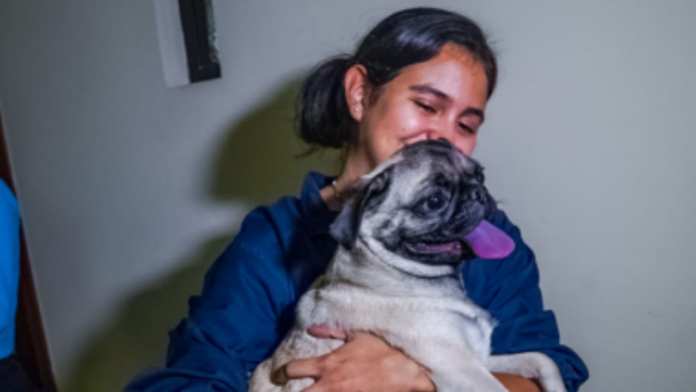 protección animal